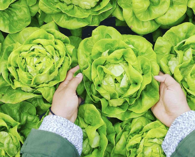 Health benefits of regenerative farming