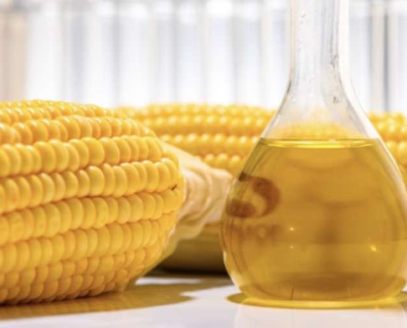 High Fructose Corn Syrup