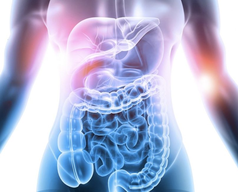 Fecal zonulin testing for gut health