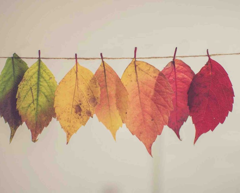 Optimizing Metabolism for Fall & Winter