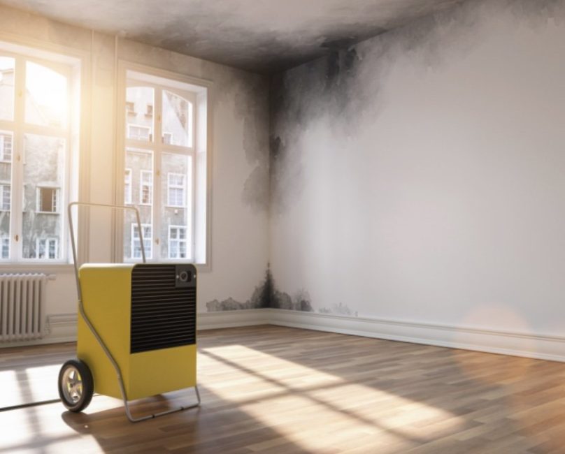 CIRS and Mold Mycotoxin Exposures