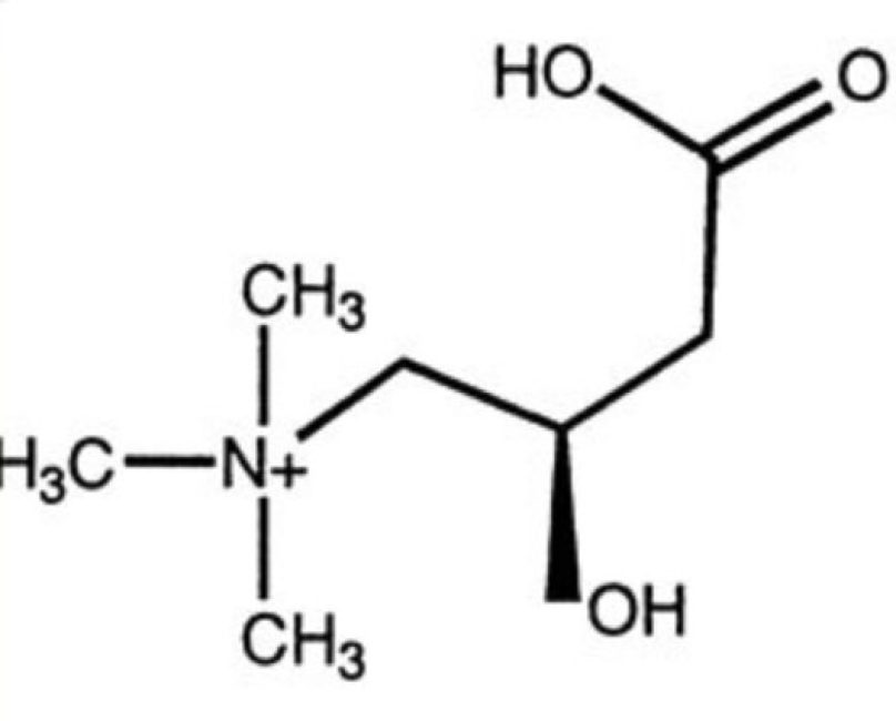 Spotlight on L-Carnitine