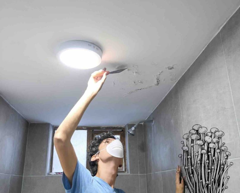 Who should be tested for mold illness or mycotoxins?