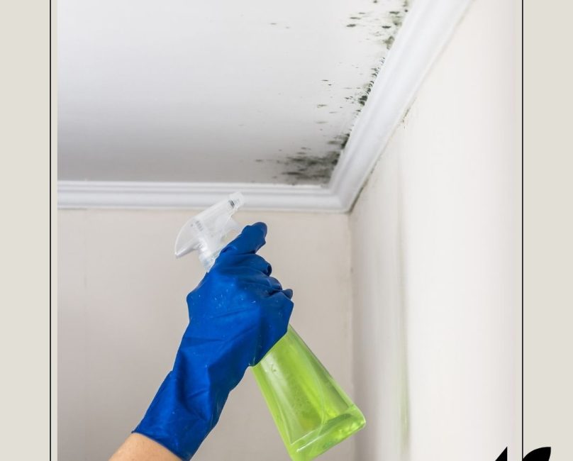 Could Mold Be Making You Sick? Signs, Symptoms, and Functional Medicine Solutions