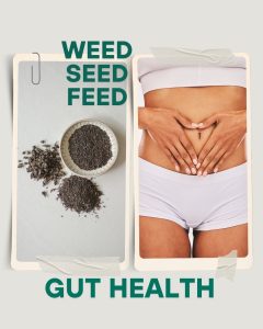 Seeds and functional medicine patient belly
