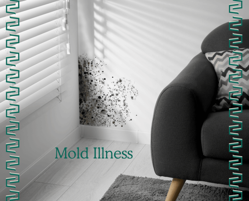 Mold Illness Is Real — And Treatable