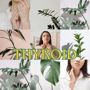 Thyroid image with women