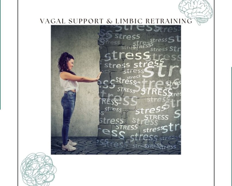 Vagal Support & Limbic Retraining