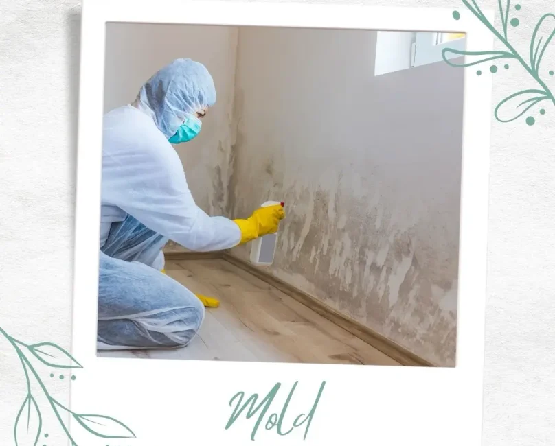 Could Mold Be Affecting Your Health?