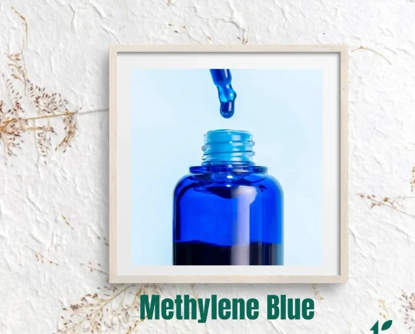 Methylene Blue—Hype or Helpful? What the Research Actually Says